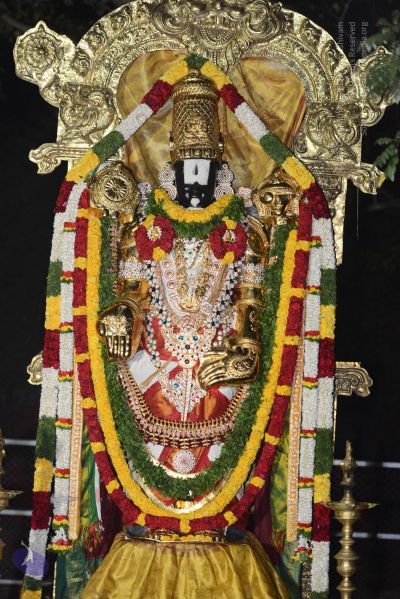 File:20170108 Photo 1016 1xhzKhgA03CYY6telcaw7riwUNADStI5o.JPG