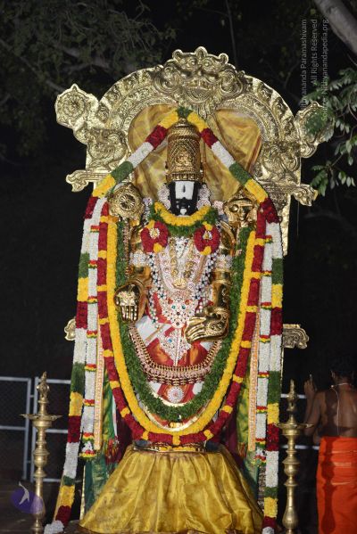 File:20170108 Photo 1017 1UUT-jql6kOR62c8uUVX6gskH6Omx180F.JPG