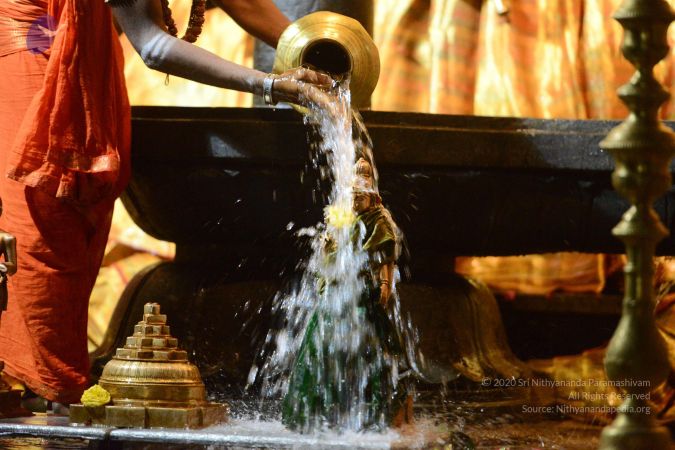 20170108 Photo 1023 1QKXq3ub9Omzs5iwPT7dbxjbuHA662OrW.JPG