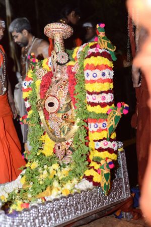 20170108 Photo 1023 1v-aQrchcZqwQst1jYbYCP2XULCuZwOSd.JPG