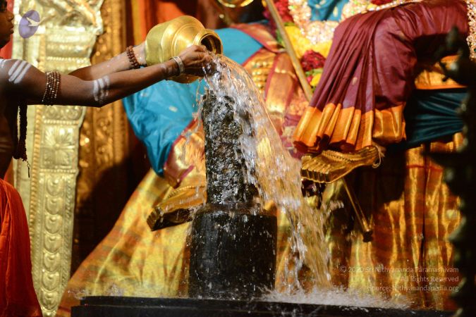 20170108 Photo 1024 1Z0Y0tTW3rqYQu9Wq2lXE5zdAVCqsGbtR.JPG