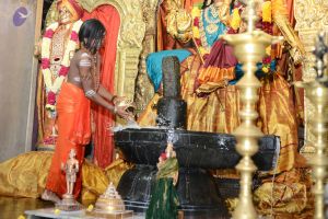 20170108 Photo 1030 1YpUOBoUsxMkcPdEf9FpA7ld-VQIdvH8t.JPG