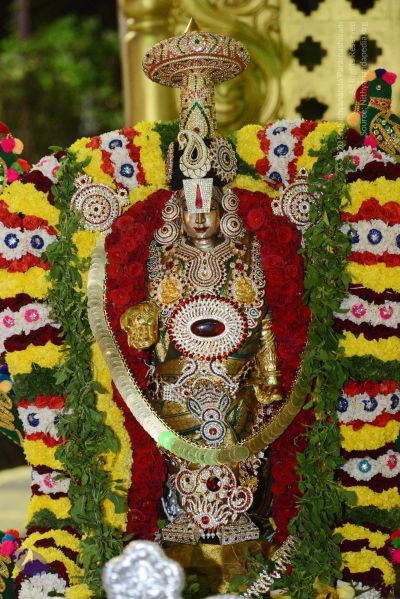 File:20170108 Photo 1039 1K8eySx9no d8FI9KsHPnYKcd4i3ByVBZ.JPG