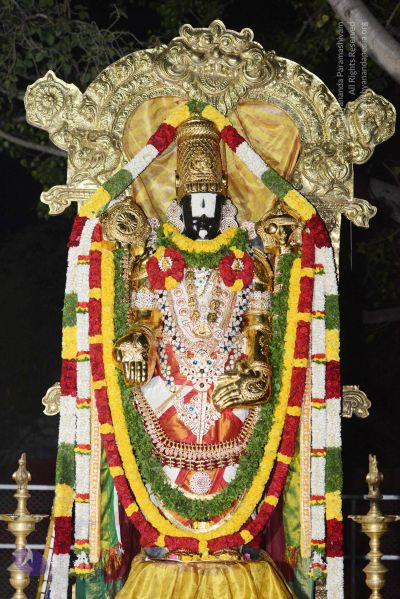 File:20170108 Photo 1058 1bSnueHP3XkK-9 Ol XdLBmZ9ZVWG yKV.JPG