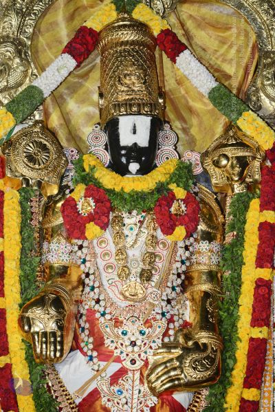 File:20170108 Photo 1065 1afVQy0e2Ev7A6pXwSxLL6cWk4W8isNE5.JPG