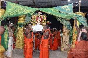 20170108 Photo 1143 1iPNPOYdNmfFWgHSRwi-dgU2e9bKAcXTe.JPG