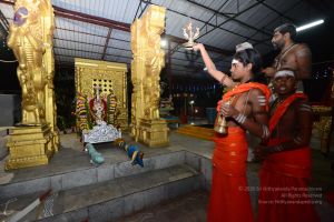 20170108 Photo 1172 165GhTVNw9OB a1MOXY0yKDEGG3H5vqDK.JPG