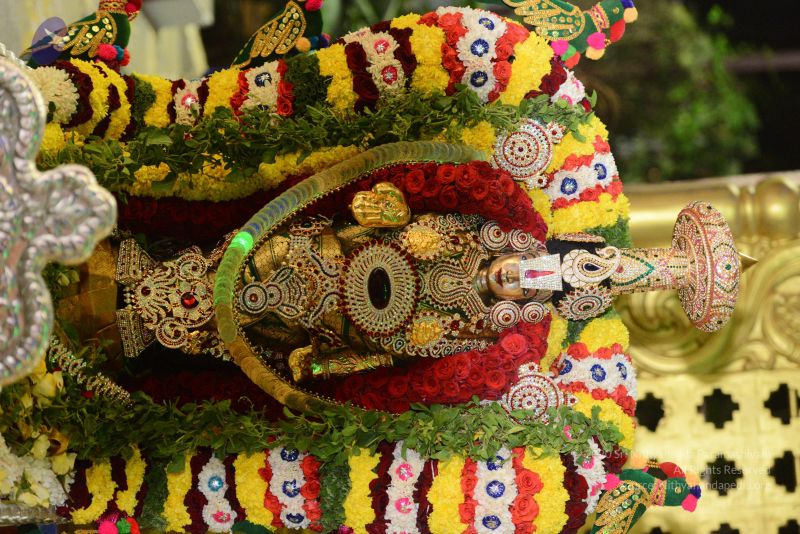 File:20170108 Photo 1261 1E7o1 a5s9bfM91qYuqLzj5cktwtSlSf .JPG