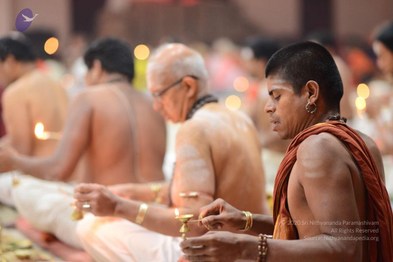 File:20170108 Photo 1432 1tgukJ-e5YJzabyy9w1JRkbizOVyvmhHQ.JPG