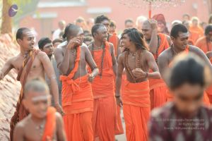 20170112 Photo 1064 1xzvfqs1tT1-dztM50qF9LuKQy1q1bIVf.JPG