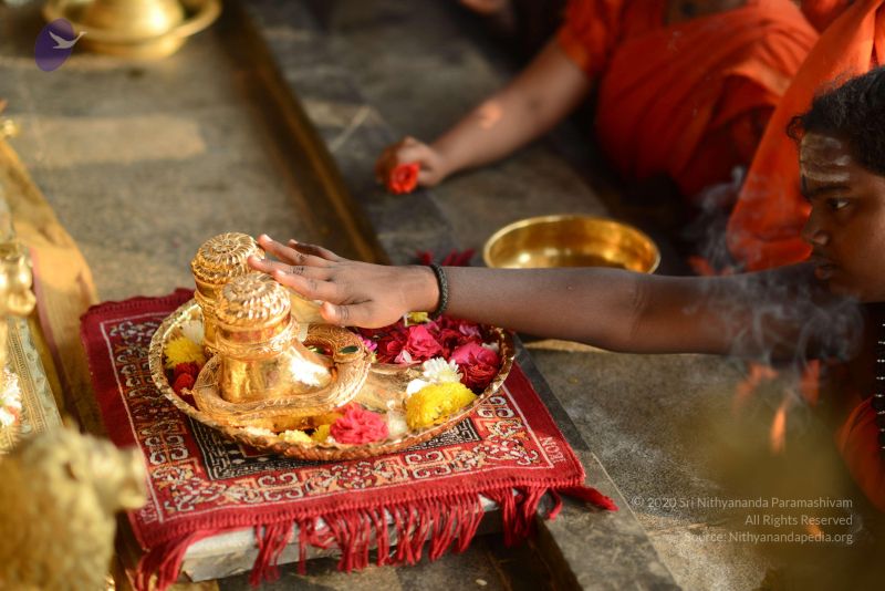 File:20170112 Photo 1093 168QSR-K20N1UiFbFXRPT-FC EftM1d81.JPG