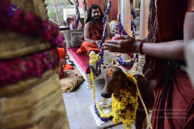 20170115 Photo 1710 1TLhZsbDXGIJt2XHJJEzP 9RNmFz5Dgjj.JPG