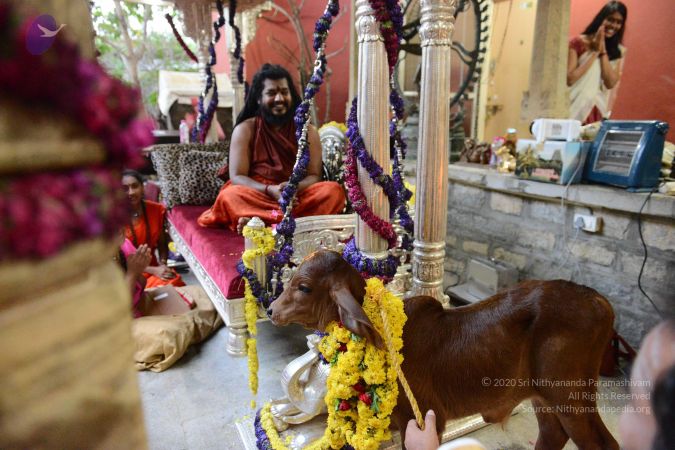 20170115 Photo 1716 1azjoFkyRlRb7C A0uDYemUDThP8c 6aD.JPG