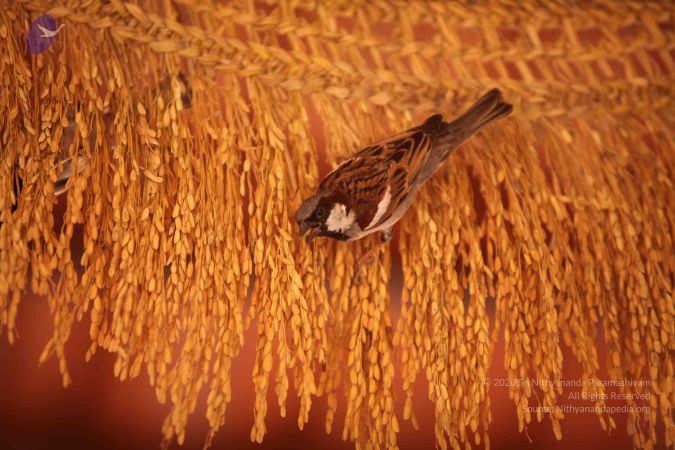 20170118 Photo 1047 19x8nDOsEnrZWkQU3QGUhw-SXBHTnd-de.JPG