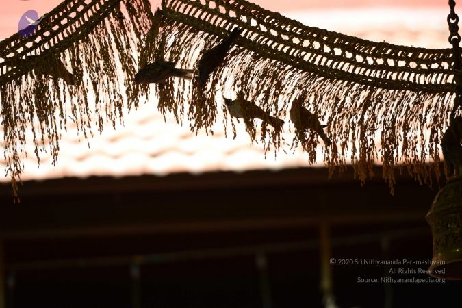 20170121 Photo 1034 1oLMm 2qwJmC0wm8ESJ4HTjfNG1io8fnX.JPG