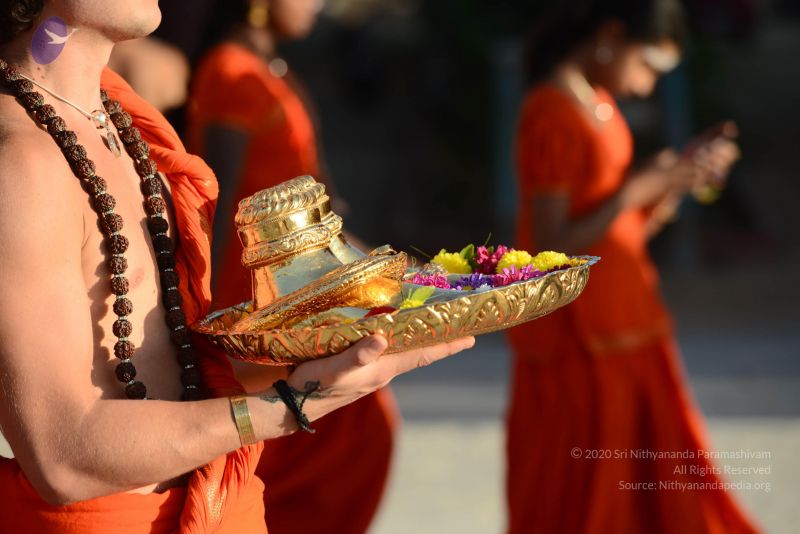 File:20170122 Photo 1006 1SkqQHIpuIN7mZ-7IyJrdC5uQYjRsdfKG.JPG