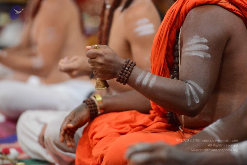 File:20170122 Photo 1019 1AiaMbilUA7j-2ejDir1uaDhb7suM hni.JPG