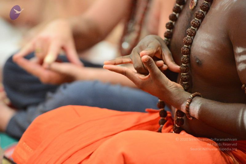 File:20170122 Photo 1028 1ZJG5WZs4wZflf1b00ZqJ9b6 otYATx2w.JPG