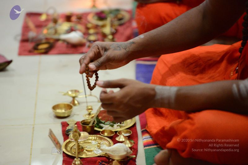 File:20170122 Photo 1072 1zv1IbgRwdlRf9Ke0tY2dRL3-aS741CR9.JPG