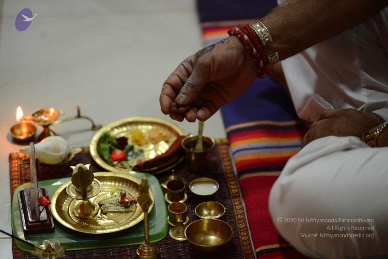 File:20170122 Photo 1081 1oYjeo-qYVvq1mItUq2tfm5LUqW0QmCKl.JPG