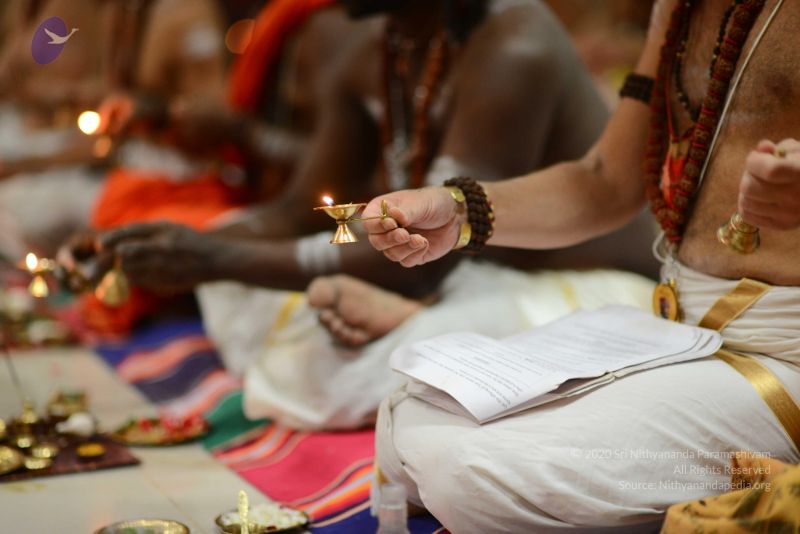 File:20170122 Photo 1108 1RZl5gY-B3KQG2H5H9quwj3OP9JMov4FI.JPG