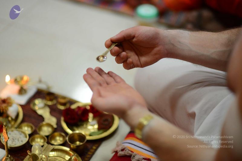 File:20170122 Photo 1116 1ii5cFOKoMQsCDXo7EDd4whkCiFQz9pzn.JPG