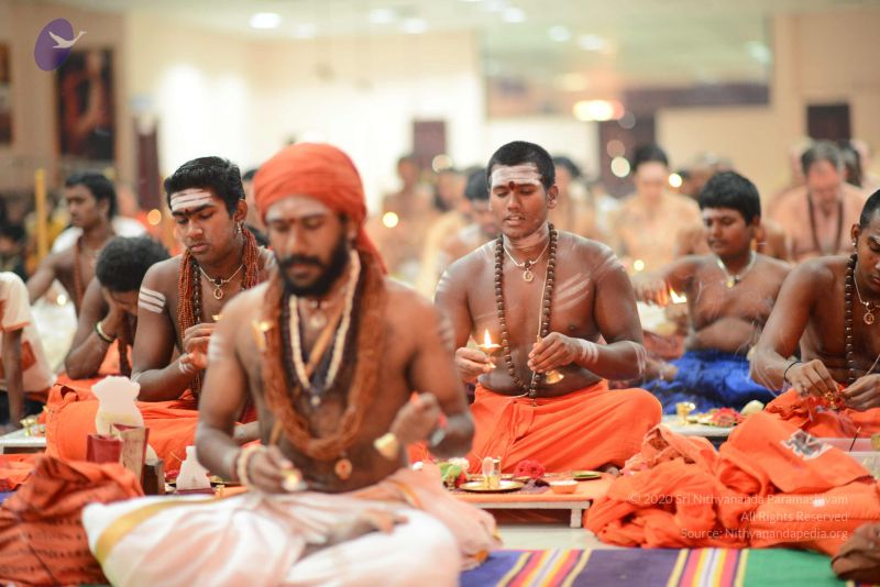 File:20170122 Photo 1145 1A02P5 RIOHXd2t03S7f5MVSkeWLFNkzd.JPG