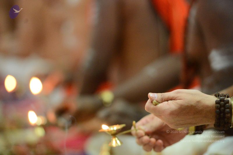 File:20170122 Photo 1195 1tC5hhqumVEDTSXW9HtxkP2DByOyHgQrf.JPG