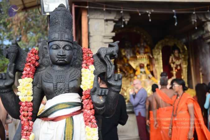 20170125 Photo 1097 1vPBncxwx83vnYCvzZKfhPeGilQlsuIGH.JPG