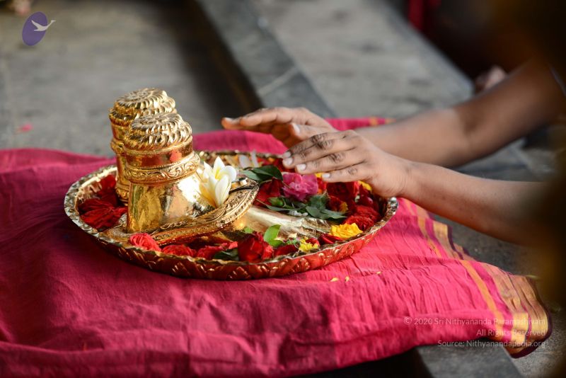 File:20170125 Photo 1108 1Wi4pzVZnYSAbeVm7bFY4dbBaqH lQ7jf.JPG