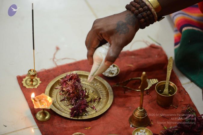 20170126 Photo 1007 1RKFGMrMOliqQbt6VXyJiu 5-EeI0H9rL.JPG