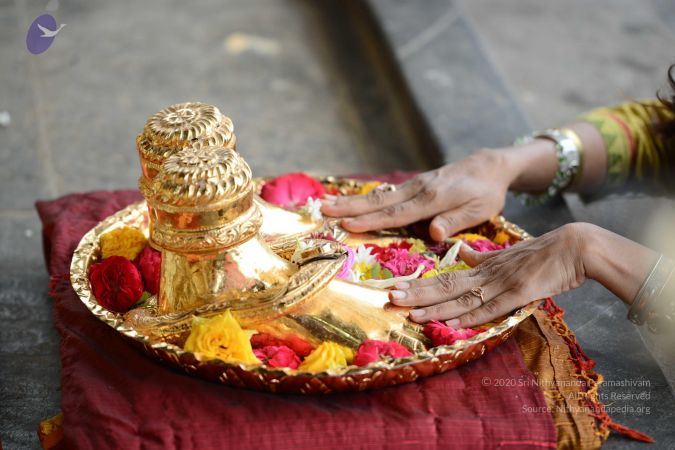 20170126 Photo 1070 15v1nt-JhVZMxjCc7peJ q9sW0O9wyXGm.JPG