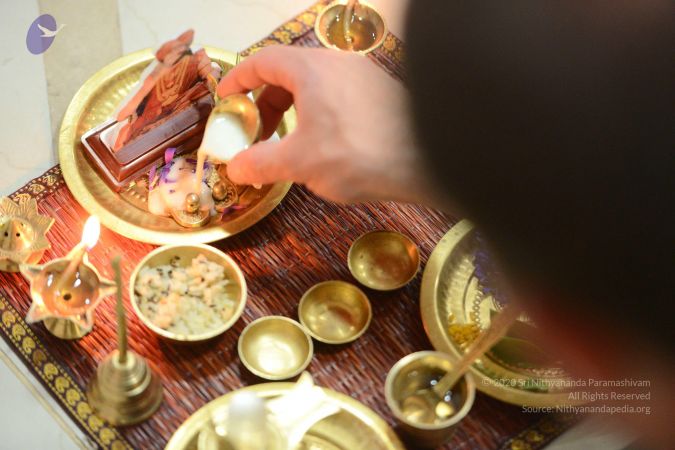 20170202 Photo 1011 1 WgsGsA0jJsjfm tZhLBFmy9JCpr9fmf.JPG