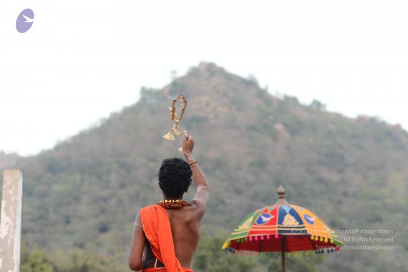 File:20170202 Photo 1113 1 dEZ2UsrwM8gZEYqPsN5DPaMZ QHXmKk.JPG