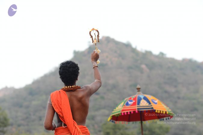 20170202 Photo 1116 1NPDxWlMX1t-kswfIk0O0Q 8KWkffYkOJ.JPG