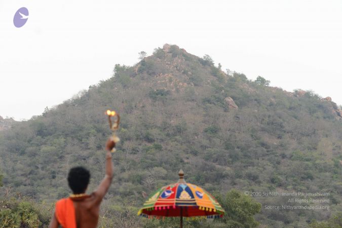 20170202 Photo 1132 13V430ihPc0aL7E8TX32Hq6acwgEIknwW.JPG