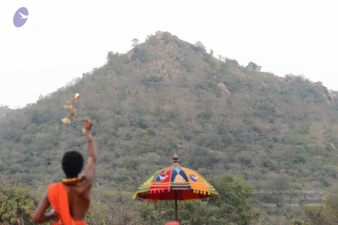 20170202 Photo 1134 1-vd5TMeBo44S71HBk7ynTE1kMBIE781S.JPG