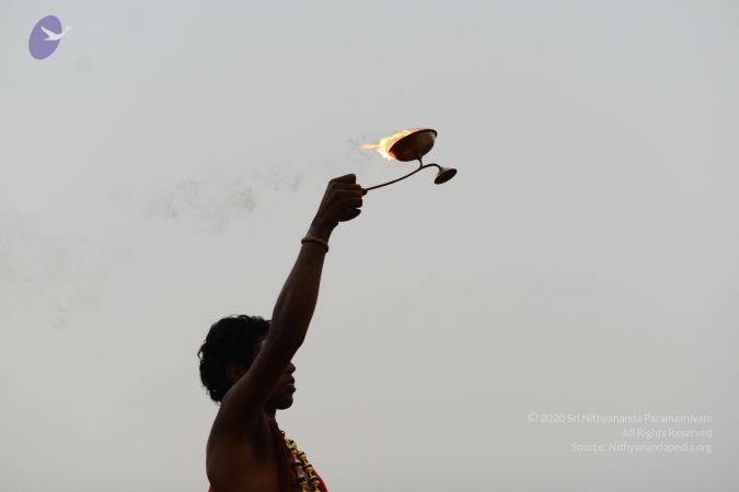 20170202 Photo 1151 1GwecmJoD78I62iCr0ddNstPP d5rc8Y-.JPG