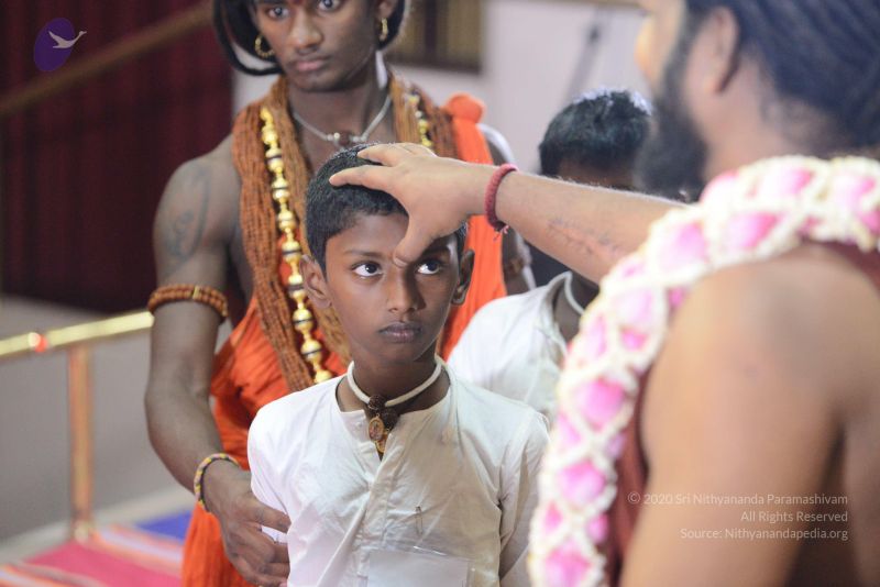 File:20170202 Photo 1270 1fTX-VvsfoA0vSyAVdHVt--CotPdOU6Ug.JPG