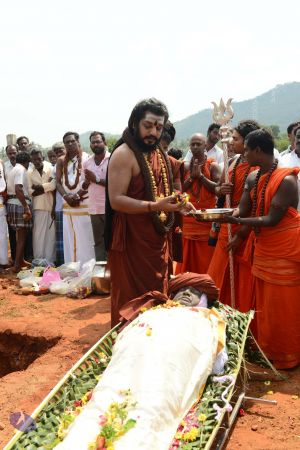 20170203 Photo 1010 1KIhKMk8R1foK2WP3KtEwrx1OCoaGIKUz.JPG