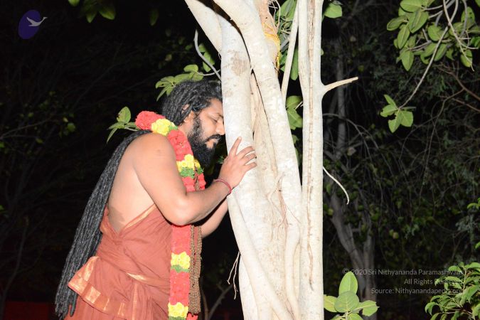 20170203 Photo 1012 15ne39XjtM2gCIdfBEA03py6OiYffmLj4.JPG