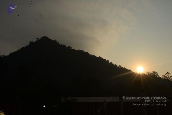 20170203 Photo 1020 1A2puwGTRJdeBIW0CL2KRcjH1wfhGm-Qa.JPG