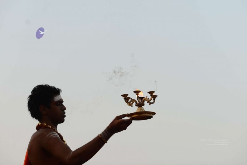 File:20170204 Photo 106 19d-XgwGCJblLwQnjIkCng2bUqiBAe bW.jpg