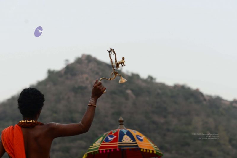 File:20170204 Photo 121 1vJvewElVgZJyOJN9BJuy7L280uDPCahs.jpg