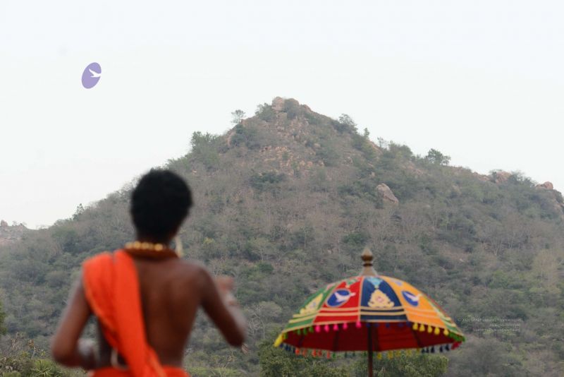 File:20170204 Photo 123 1CpDmyoy5aPD AjnfTrc3uvlsc Fj6dKy.jpg