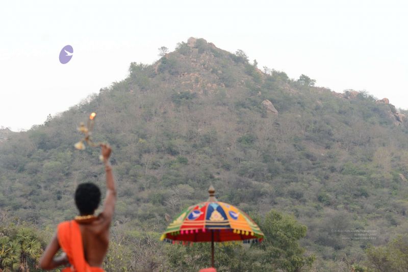 File:20170204 Photo 128 18NG6f1X7NytcXj5VpwWMYoB8sJscxTrB.jpg