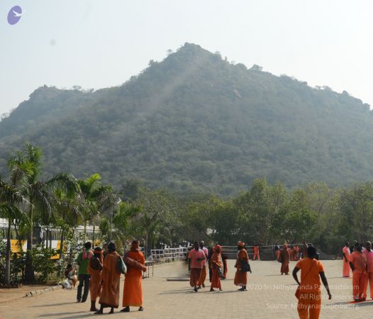 20170205 Photo 1041 1ki1LY6nUTRgGGp2yKt5pacVtcDekEndS.JPG