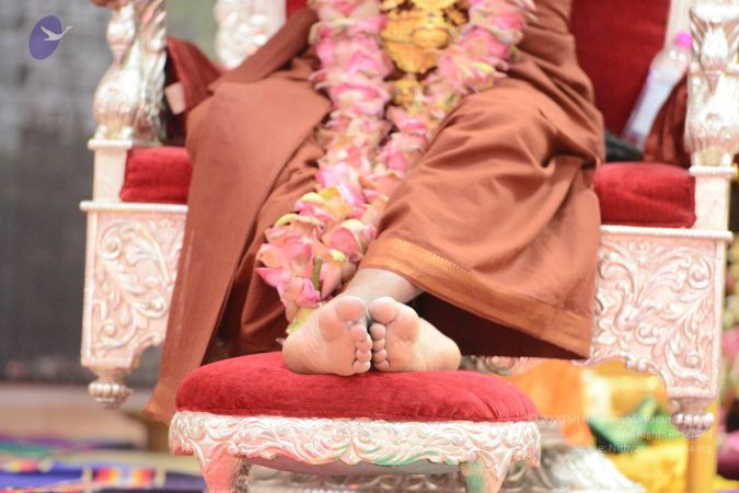 20170205 Photo 1274 1FGDHZSO08bDmFdhj7q8mg0yi7qMAJ37G.JPG