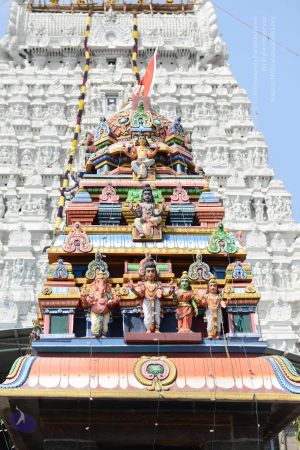 20170206 Photo 1031 1Awp-HpoVG0yMu9SslLONcqVv-5E3uG7W.JPG