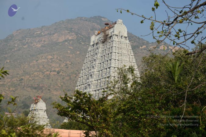 20170206 Photo 1116 1f0aEToT Hu4OJ390yBaR c2lyG3LnjTN.JPG